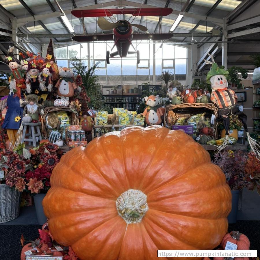 fruitImages/1133.6 Hochstetler 2025B.jpg